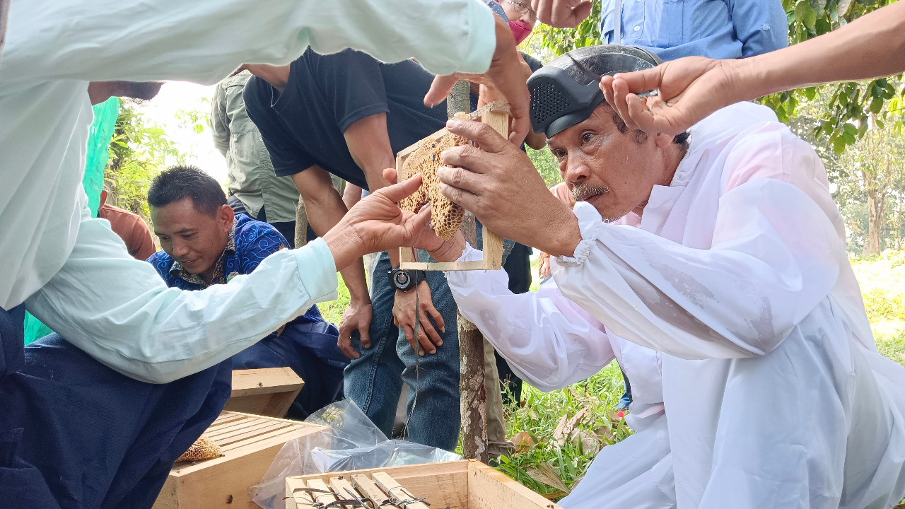 Pelatihan Budidaya Lebah Madu di Kawasan Konservasi Desa Embawang
