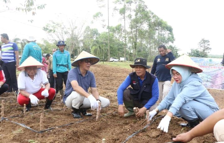 Bupati PALI Heri Amalindo saat kegiatan tanam ubi kayu bersama di halaman kantor bupati PALI., Jumat (21/10/2022)