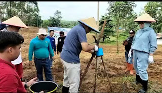 Bupati PALI Heri Amalindo saat kegiatan tanam ubi kayu bersama di halaman kantor bupati PALI., Jumat (21/10/2022)