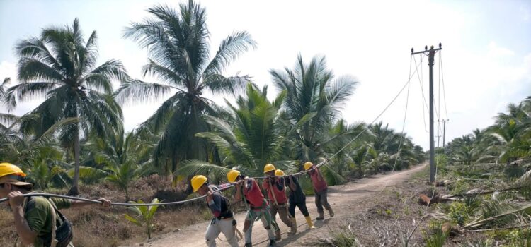 Petugas PLN saat melakukann pemasangan kabel di Desa Perajen Jaya, Kabupaten Banyuasin