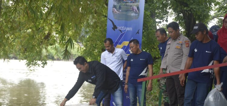 PT Bukit Asam Tbk (PTBA) melakukan penebaran benih ikan di Sungai Enim yang dipusatkan di Taman Love Tanjung Enim, Kecamatan Lawang Kidul, Kabupaten Muara Enim, Jumat (24/2/2023) dalam rangka HUT ke-42 PTBA