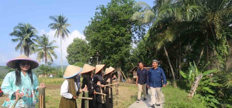 Panen Perdana Benih Beras Merah Organik