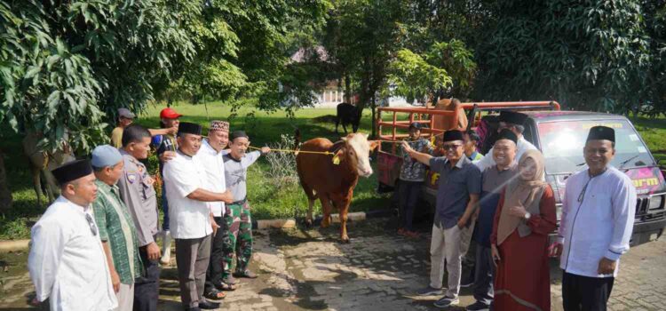 PT Bukit Asam Tbk (PTBA), anggota Grup MIND ID, menyalurkan 145 ekor sapi dan 56 ekor kambing kurban pada Hari Raya Idul Adha 1444 Hijriah.