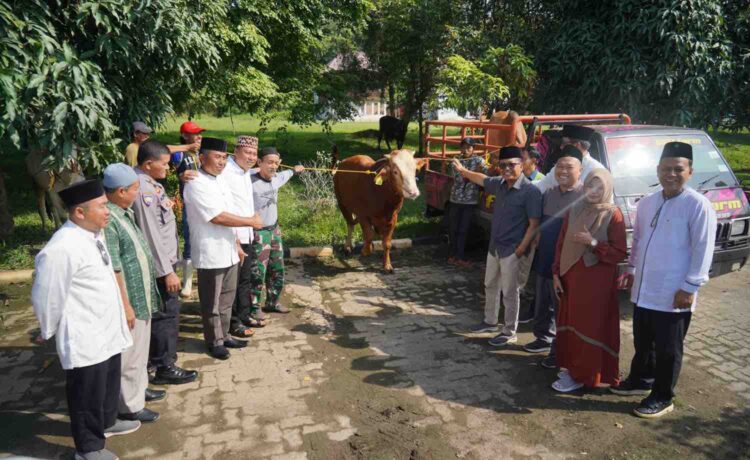 PT Bukit Asam Tbk (PTBA), anggota Grup MIND ID, menyalurkan 145 ekor sapi dan 56 ekor kambing kurban pada Hari Raya Idul Adha 1444 Hijriah.